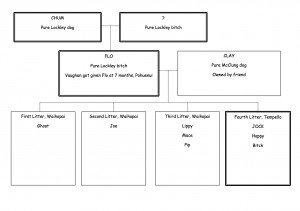 Jocks Family Tree