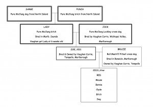 Zoe & Brucie family tree